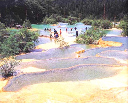 爭艷彩池全景 攝影：四川旅遊信息網