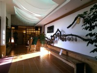 台北找茶園<br/> 攝影：Eva隨手拍