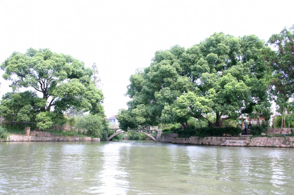 西溪國家濕地公園 攝影：馮順
