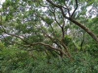 青青草原<br/> 摄影：Lu