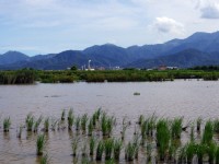 五十二甲湿地<br/> 摄影：Eva隨手拍