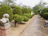 通霄秋茂園<br/> 攝影：Eva隨手拍