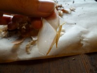 七星柴鱼博物馆<br/> 摄影：陳皮梅