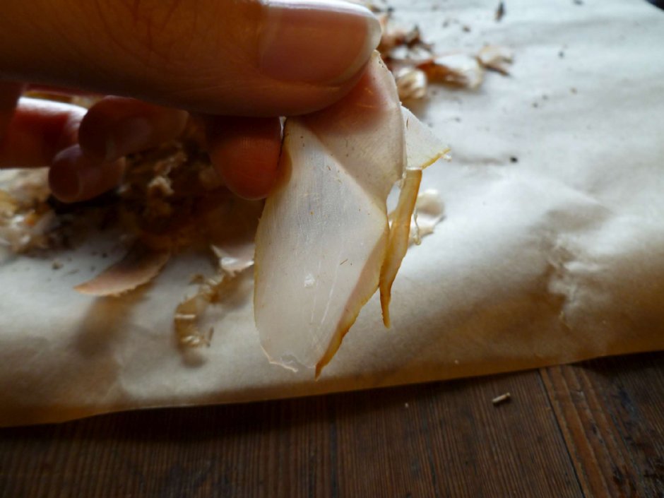 七星柴鱼博物馆 摄影：陳皮梅