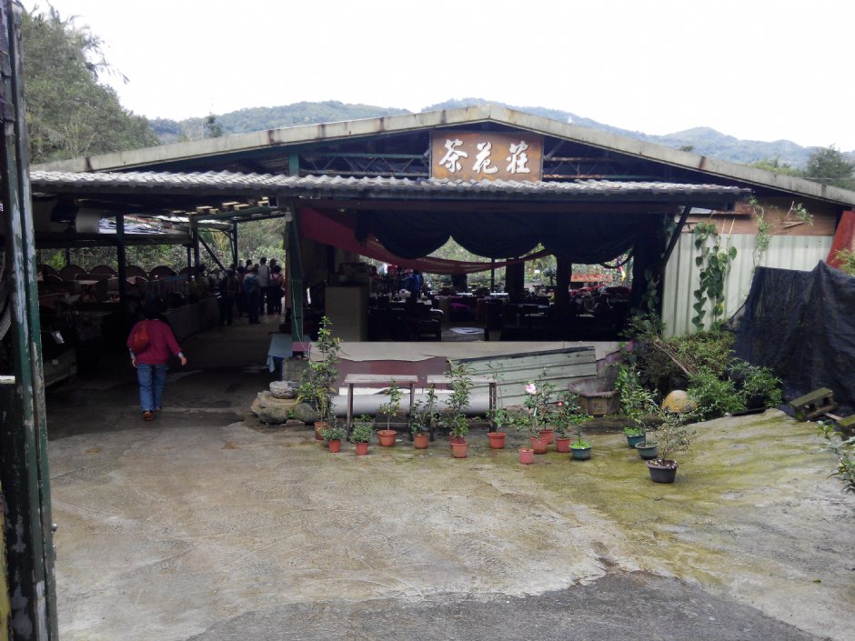 茶花莊 攝影：Lu