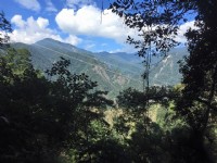 八仙山國家森林遊樂區<br/> 攝影：Rony