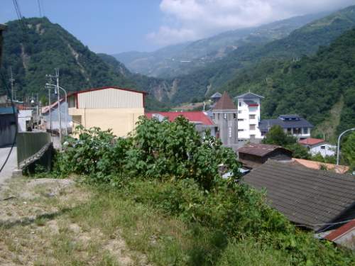 遠景 攝影：老山羊