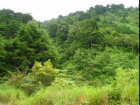 遠望天邊<br/> 攝影：老山羊資訊網