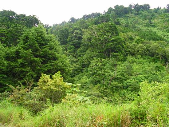 遠望天邊 攝影：老山羊資訊網