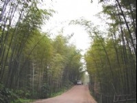 翡翠長廊-02<br/> 攝影：四川旅遊信息網