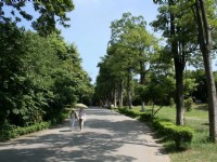 寬闊的登山步道<br/> 攝影：老山羊部落格