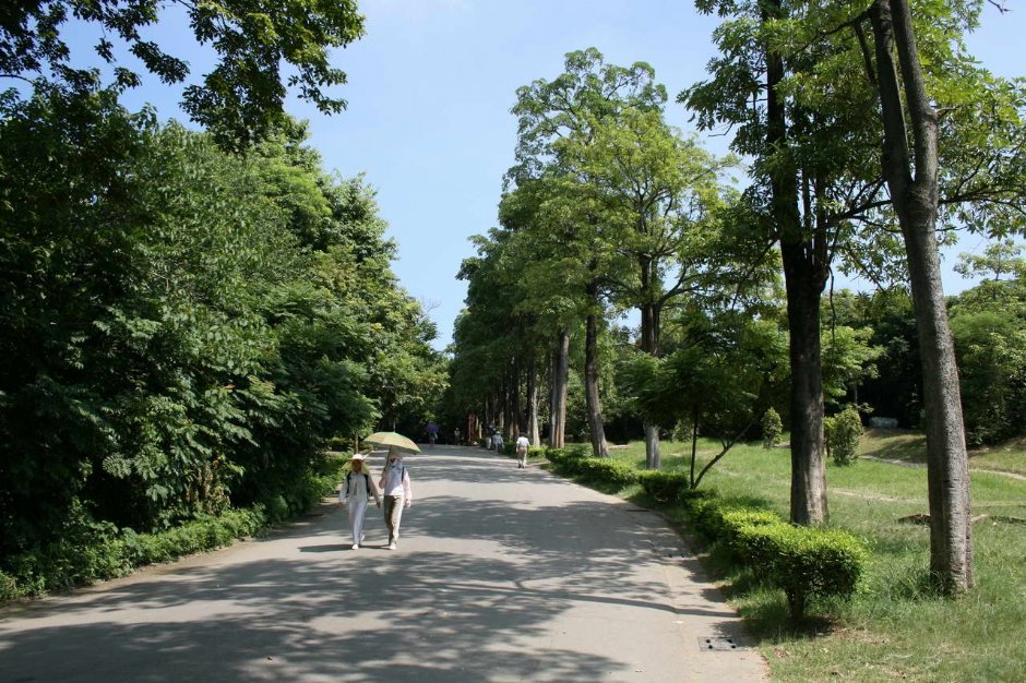 寬闊的登山步道 攝影：老山羊部落格