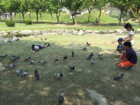 2016中央公園<br/> 攝影：旅遊王攝影組