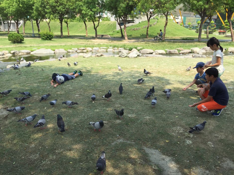 2016中央公園 攝影：旅遊王攝影組