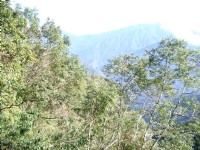 遠望山林一景<br/> 攝影：老山羊資訊網