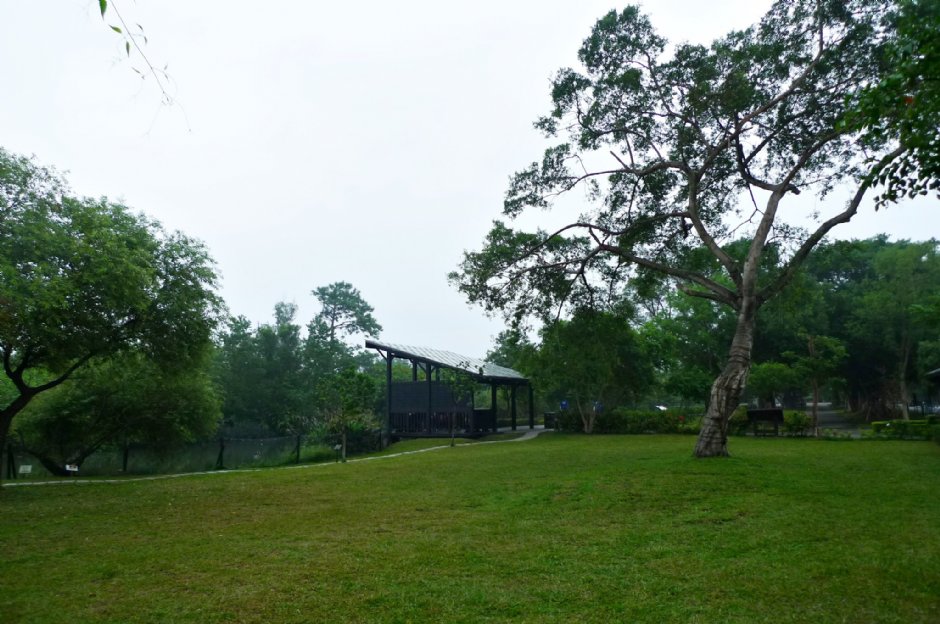 八德埤塘生態公園 攝影：Eva隨手拍