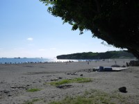 旗津海水浴場<br/> 攝影：三井