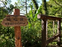 三民蝙蝠洞<br/> 攝影：桃園市政府觀光旅遊局 提供