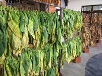 太平買菸場<br/> 攝影：Eva隨手拍