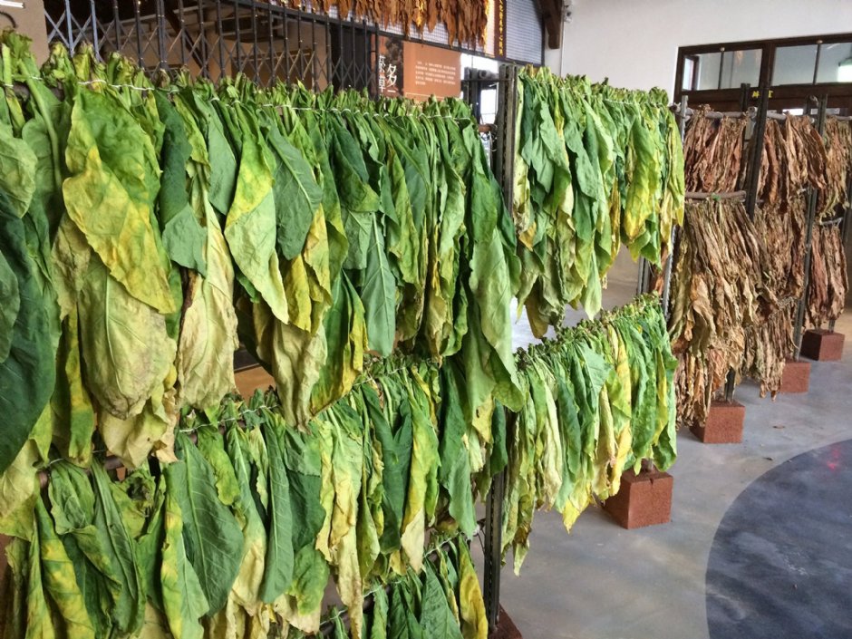 太平買菸場 攝影：Eva隨手拍