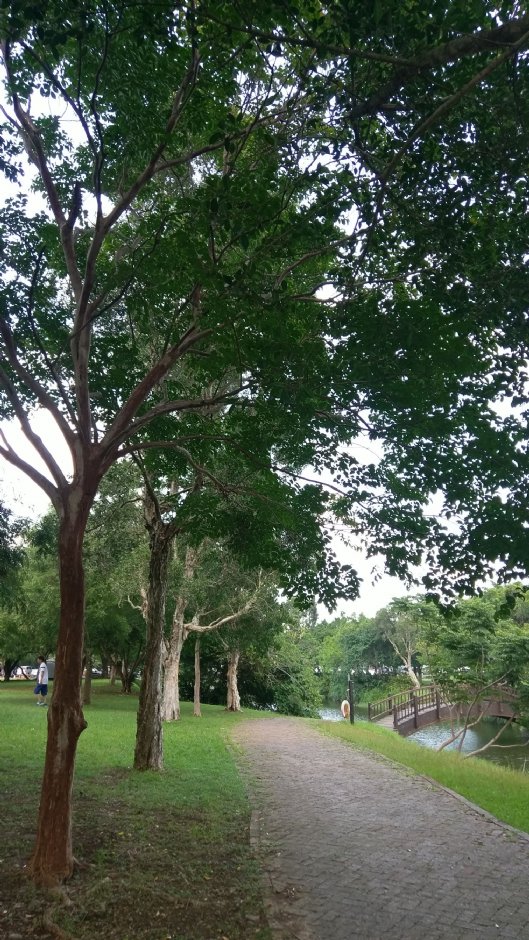 三坑自然生態公園 攝影：Eva隨手拍