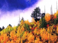 層林盡染的俄初山<br/> 攝影：四川旅遊信息網