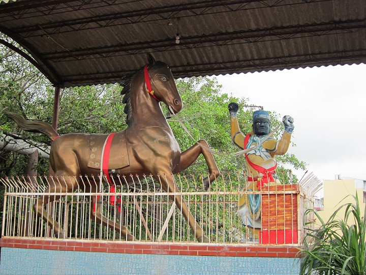 武聖廟神榕園 攝影：黃儒永
