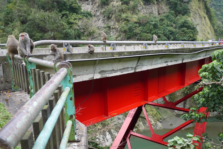 登仙橋休憩區 攝影：旅遊王攝影組