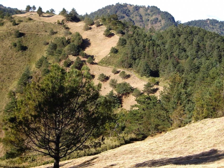 麟趾山步道 攝影：老山羊資訊網