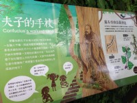 棲蘭神木園<br/> 攝影：陳皮梅