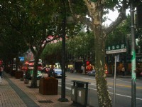 淮海中路<br/> 攝影：余燕鳳