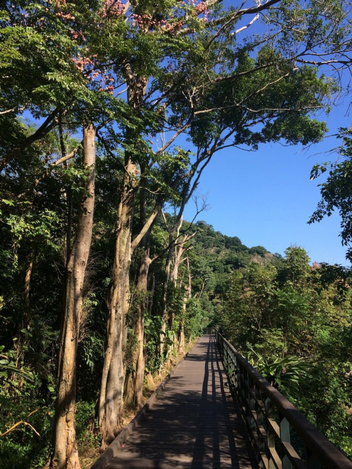 五指山層地質觀賞棧道 攝影：Eva隨手拍