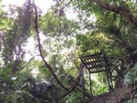大板根森林遊樂區<br/> 攝影：簡時強