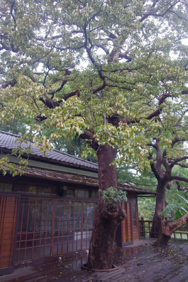 新竹公園湖畔料亭 攝影：Eva隨手拍