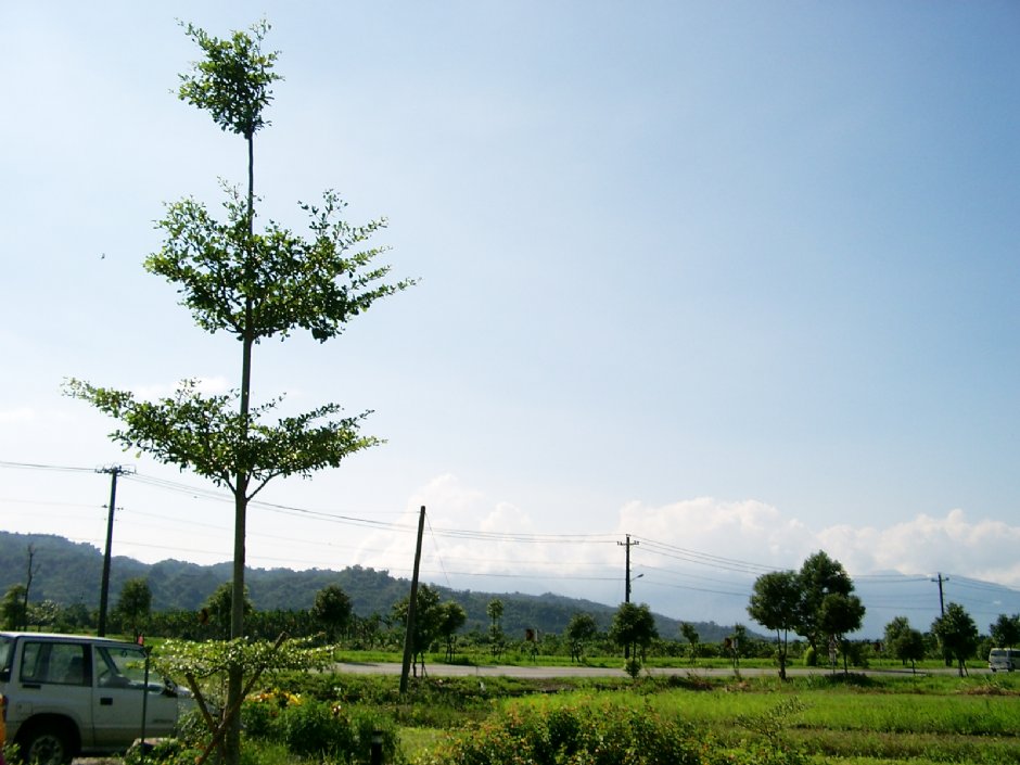 掃叭遺址 攝影：Eva隨手拍