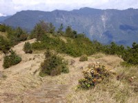 阿里山山脈<br/> 攝影：老山羊資訊網