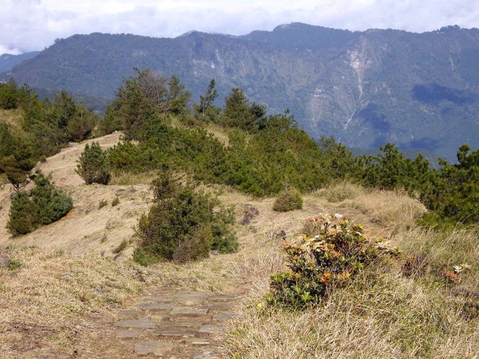 阿里山山脈 攝影：老山羊資訊網
