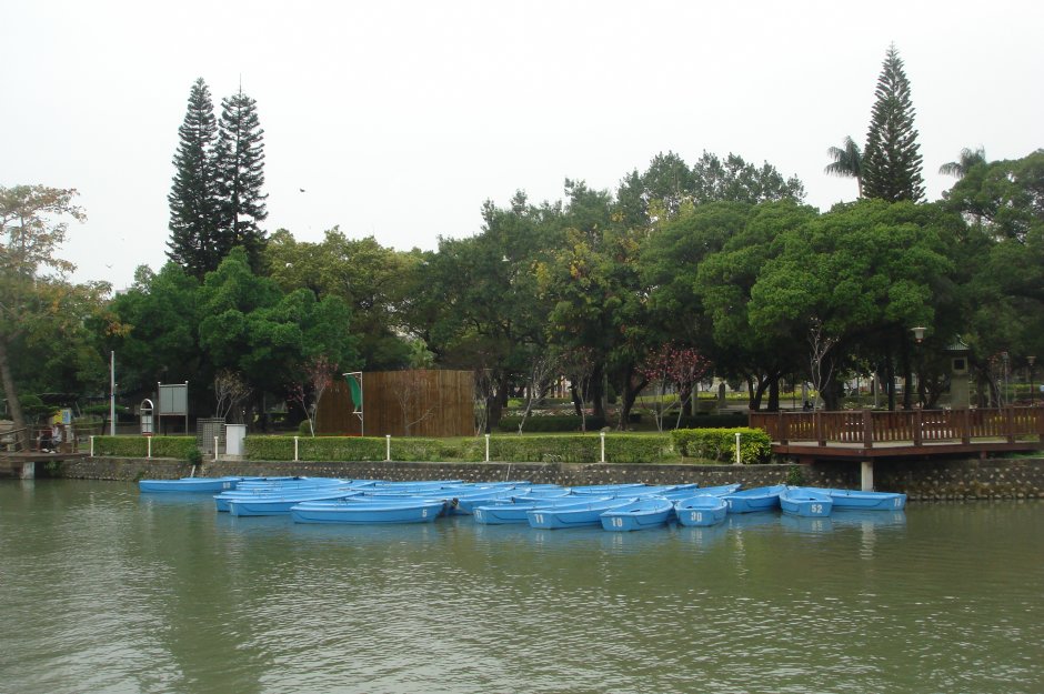 台中公園 攝影：meiyin