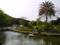 台灣島<br/> 攝影：三井