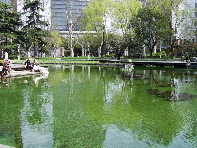 靜安公園-風景綺麗 攝影：陳李豪