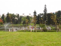 青年公園<br/> 攝影：xcatx