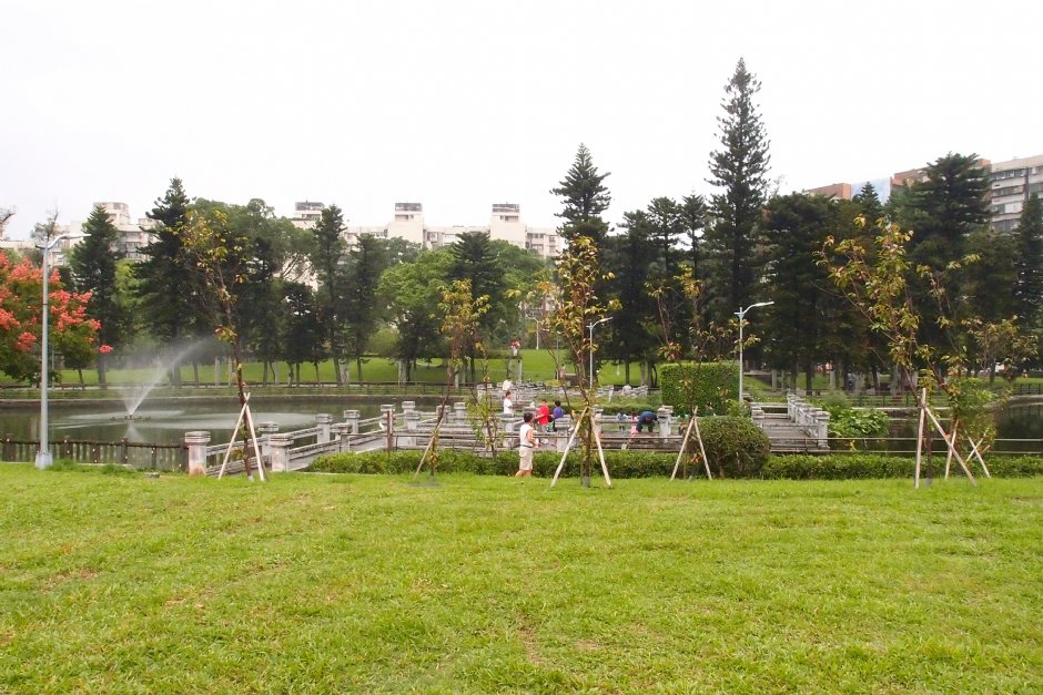 青年公園 攝影：xcatx