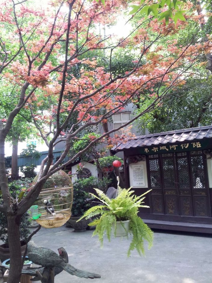 紫禁城博物館一景 攝影：紫禁城博物館 提供