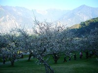 登山<br/> 攝影：老山羊