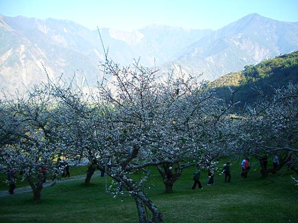 登山 攝影：老山羊