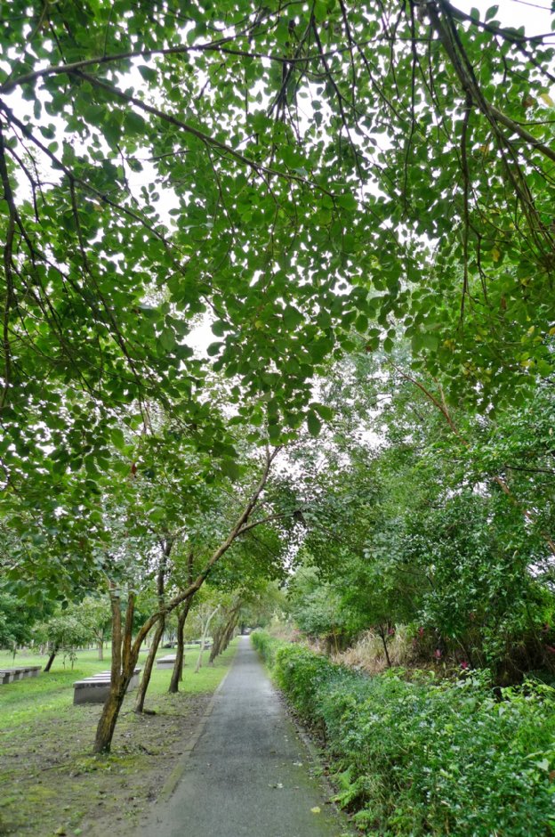 初英親水生態公園 攝影：Eva隨手拍