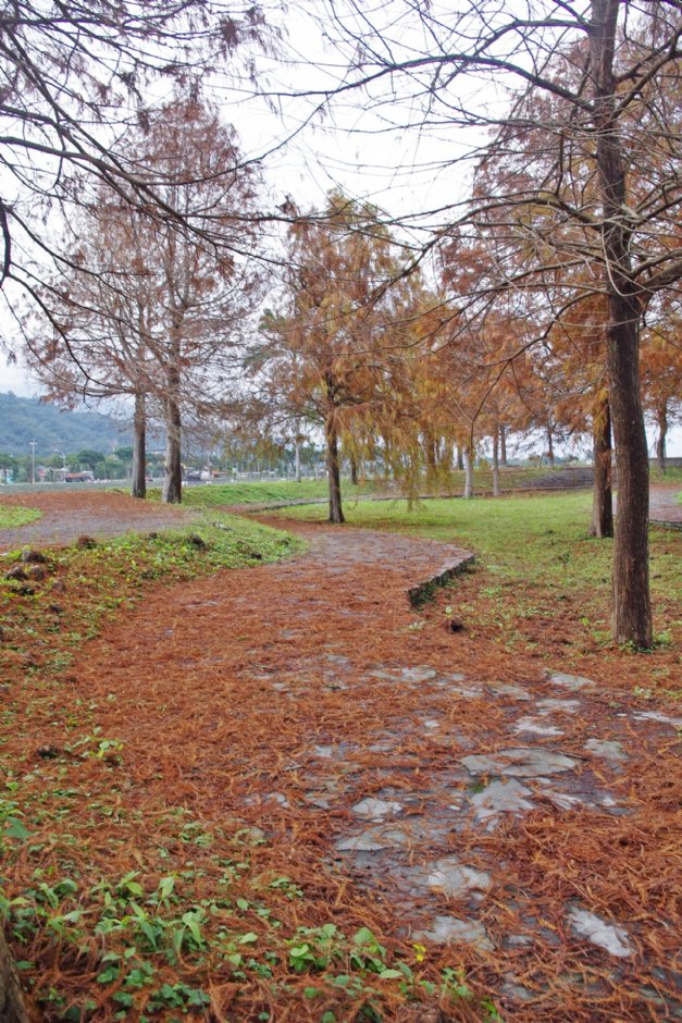 張公圍親水公園 攝影：Eva隨手拍