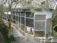 鳳凰谷鸚鵡園<br/> 攝影：三井
