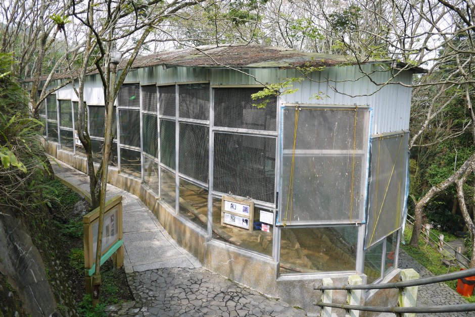 鳳凰谷鸚鵡園 攝影：三井