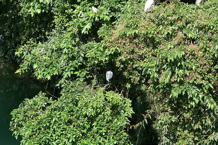坪林親水公園 攝影：Eva隨手拍